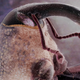 Illustration for article titled See The Wellcome Trusts Best Science Photos Of The Year